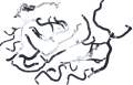 b84cd3a44774819404d193ab3913