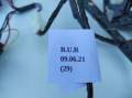 8758e1974486ae9cb0dd1e348429