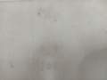 50fc40254f0098f2d5a0ac264874