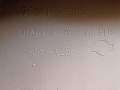 a423ce094b63b7ceb5bb4de220a9