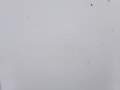 b60b12ea49bba70da2a766ad4309