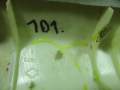 a2267aec4faba53c8272e633bd83
