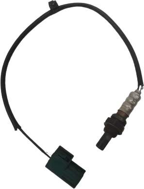 9207d1f64246abce968f2fe306fe