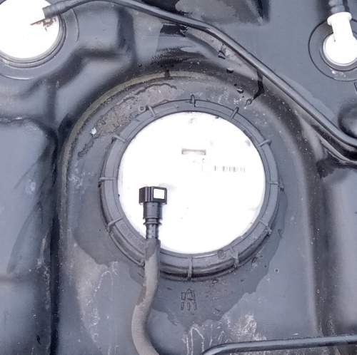 8cf5d8be4183b184328866fea7d3