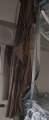bf6b1dc9b946b825cb647f45cfa9dc14