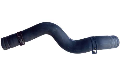 zdjęcie 1