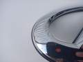 IMG_20231023_093803_387.jpg