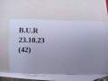 IMG_20231023_105026_530.jpg
