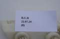 DSC03120.JPG