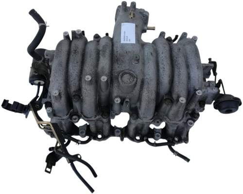 zdjęcie 1