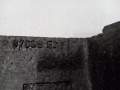 zdjęcie 6