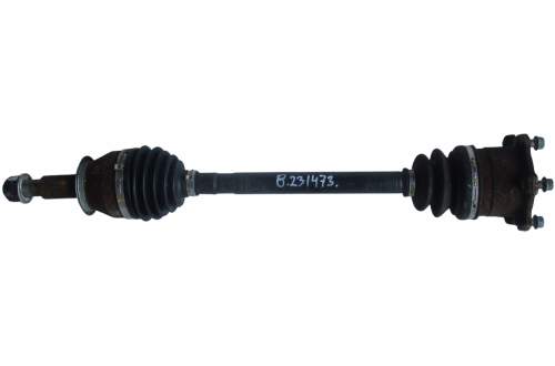 zdjęcie 1