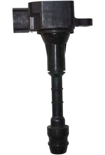 zdjęcie 1