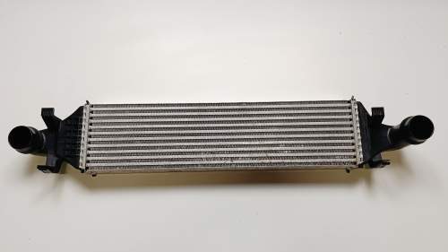 IMG20251031140401.jpg