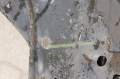 zdjęcie 4