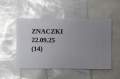 zdjęcie 9