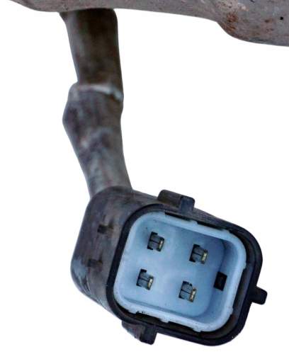 zdjęcie 1
