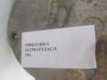 zdjęcie 6