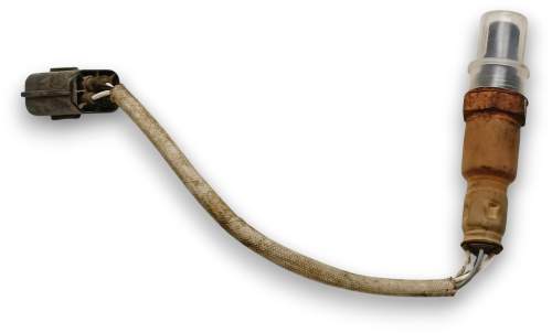 zdjęcie 1