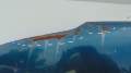 DSC08651.JPG