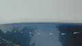 DSC08564.JPG